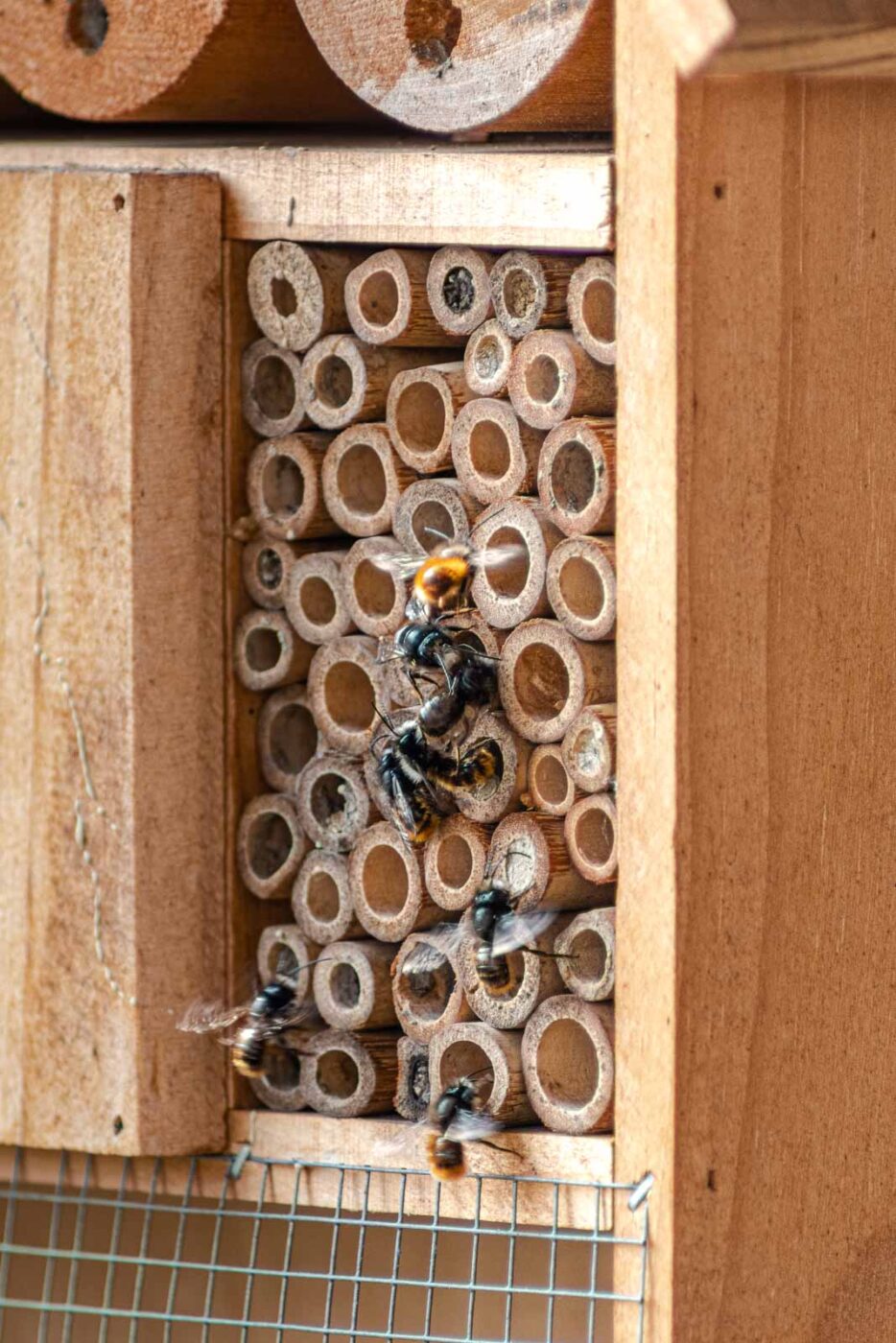 2021-03-25 - RE-Sidenzia auf'm BallKong