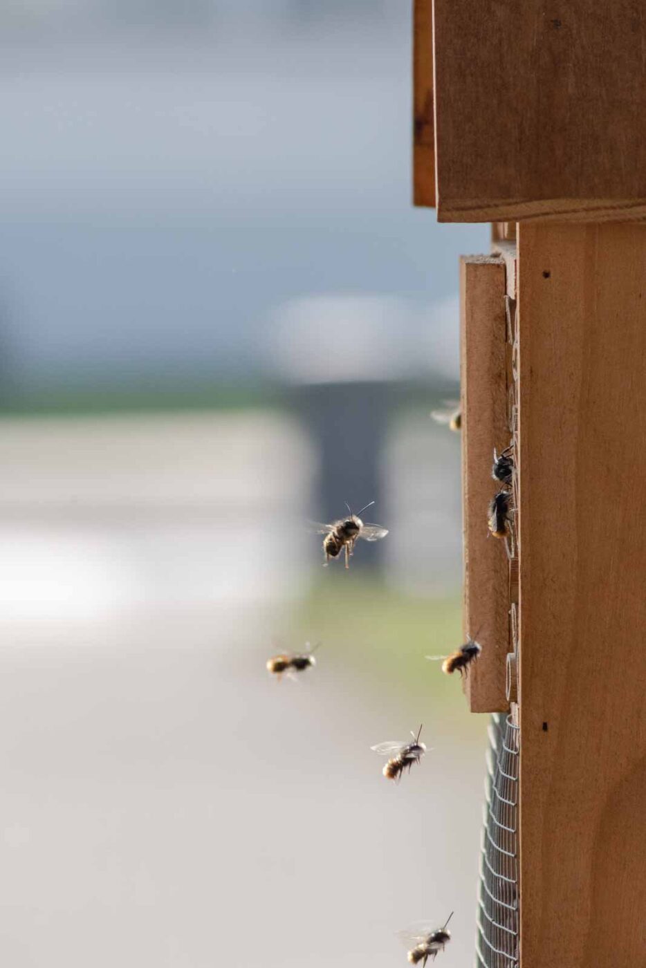 2021-03-25 - RE-Sidenzia auf'm BallKong