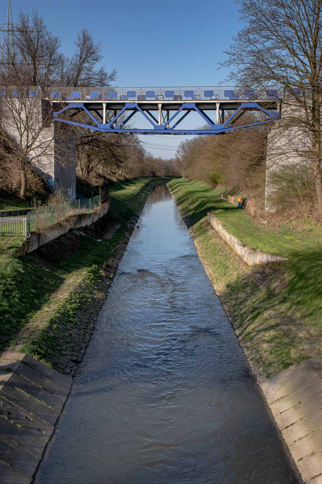 2021-03-31 – NSG Brandheide – Kriebelmücke