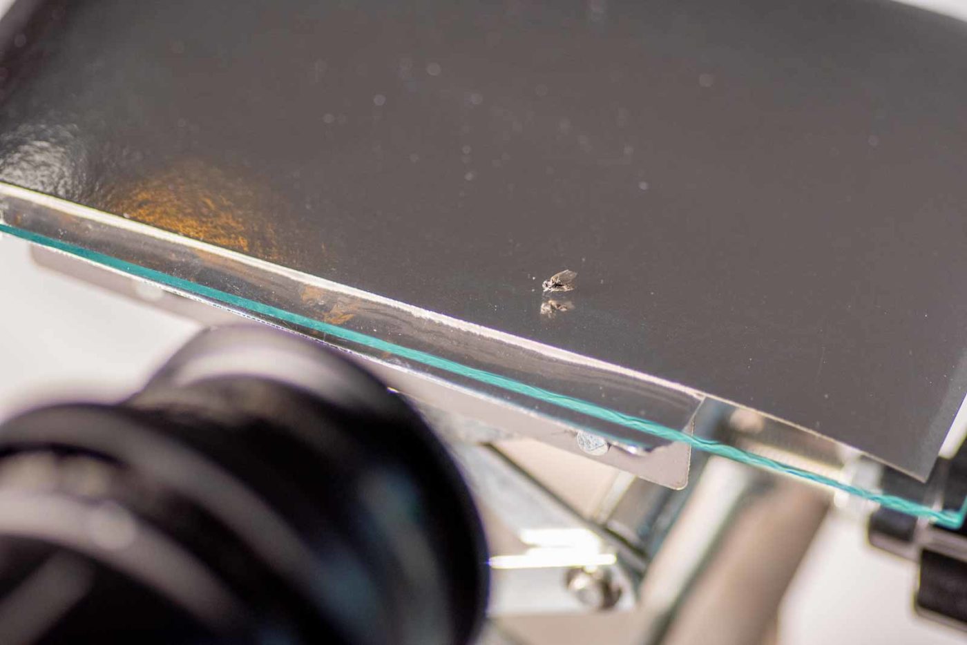 2021-04-01 - Residenzia - HolyHalla - TheMof of the Sandbiene