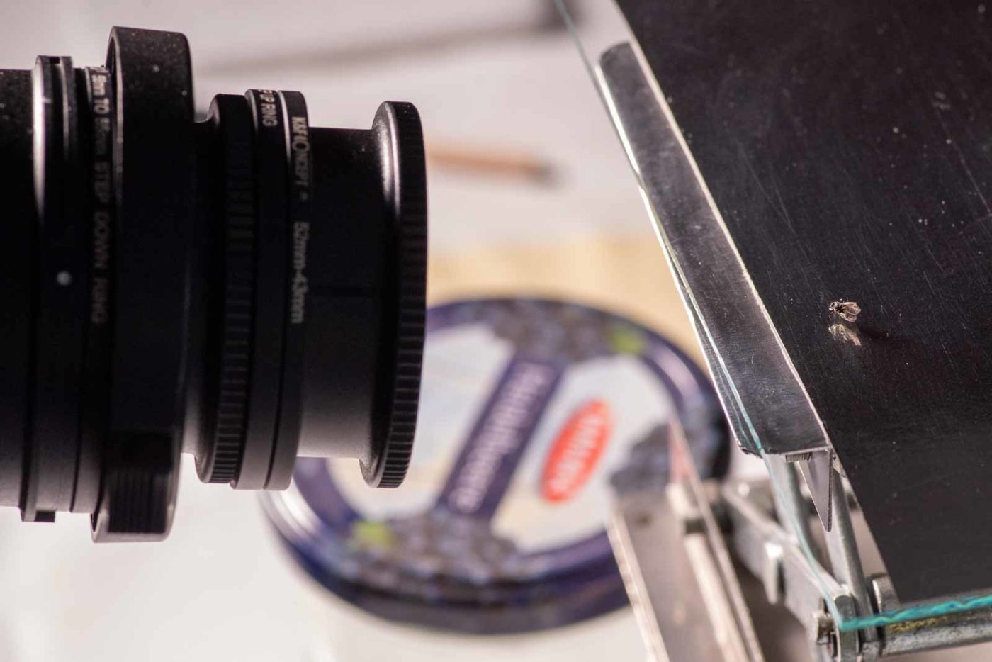 2021-04-01 - Residenzia - HolyHalla - TheMof of the Sandbiene