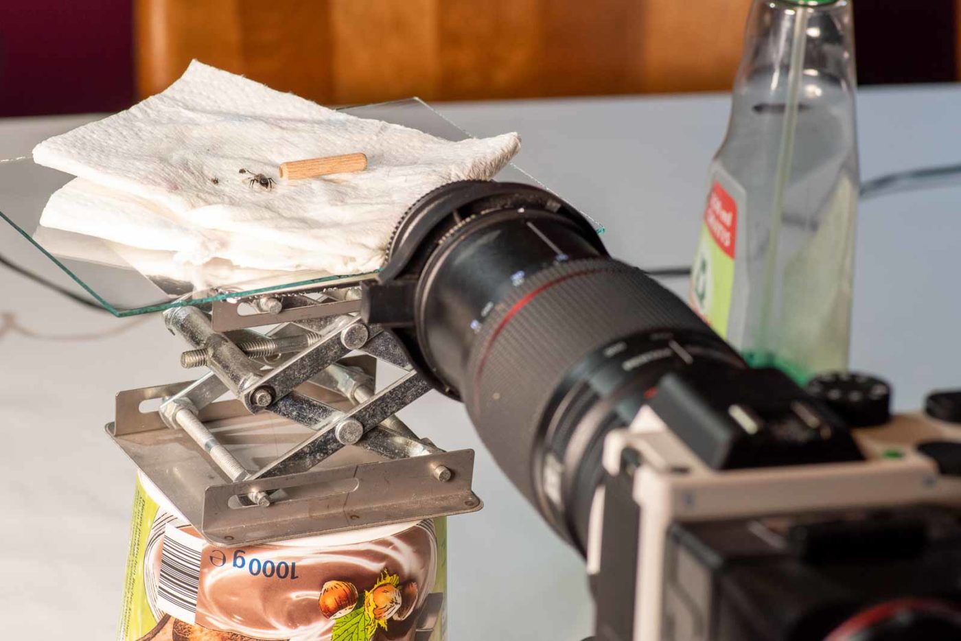 2021-04-01 - Residenzia - HolyHalla - TheMof of the Sandbiene