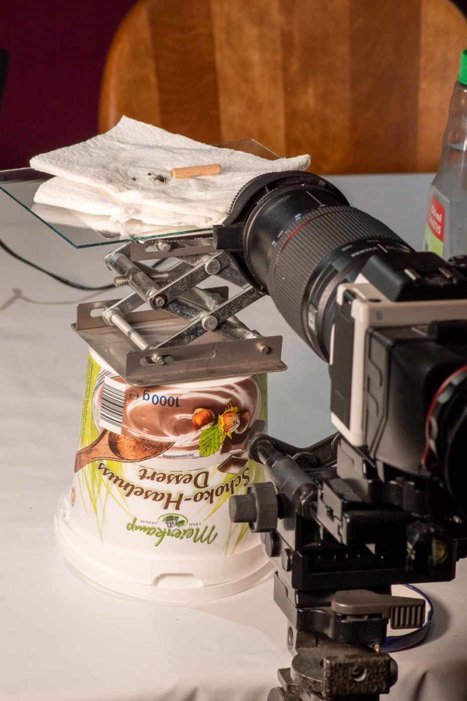 2021-04-01 - Residenzia - HolyHalla - TheMof of the Sandbiene