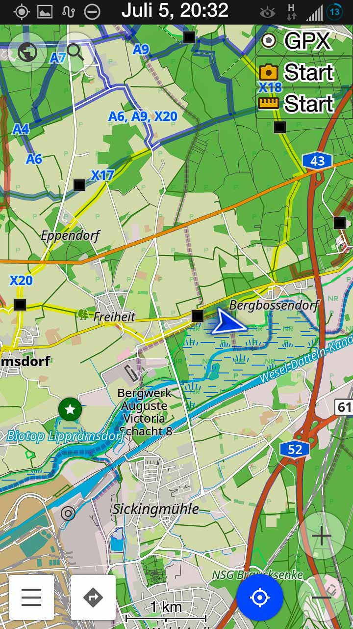 2017-07-05 - NSG Braucksenke Marl