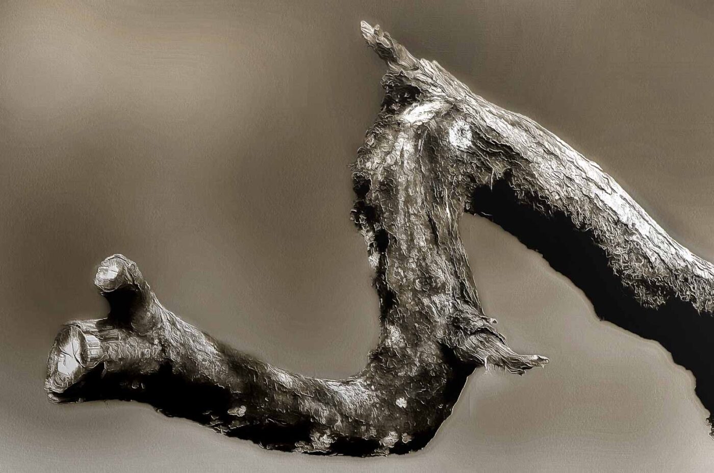 2017-07-13 - NSG Westruper Heide Haltern