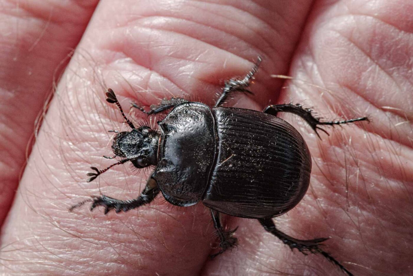 2024-02-10 - RE-Sidenzia auf'm BallKong