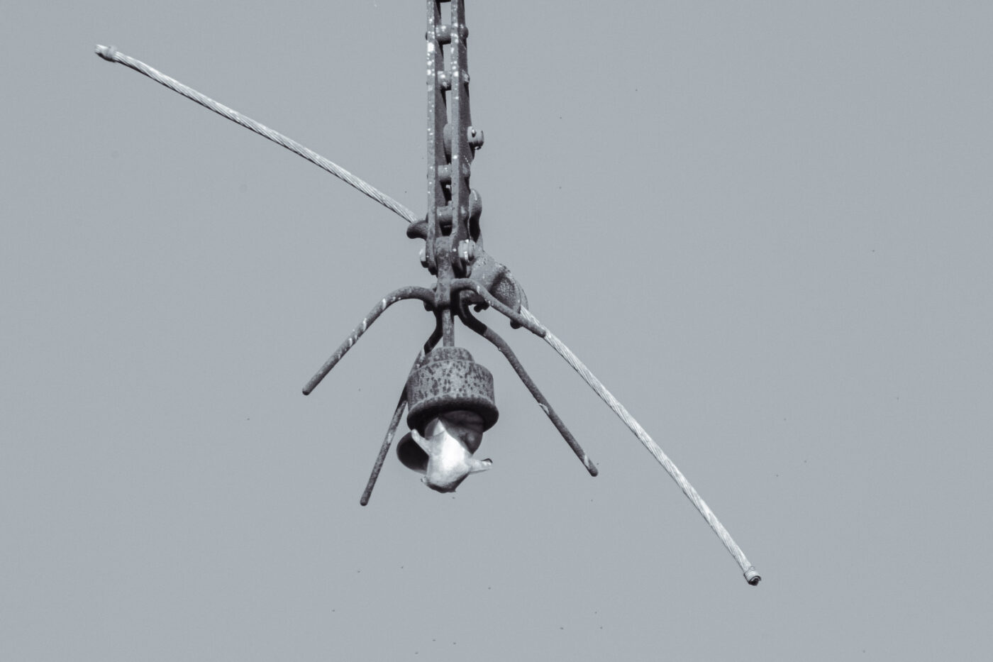 2024-11-03 - Expedition ins Rätselreich - Teil 1 - Bilderrätsel Herne