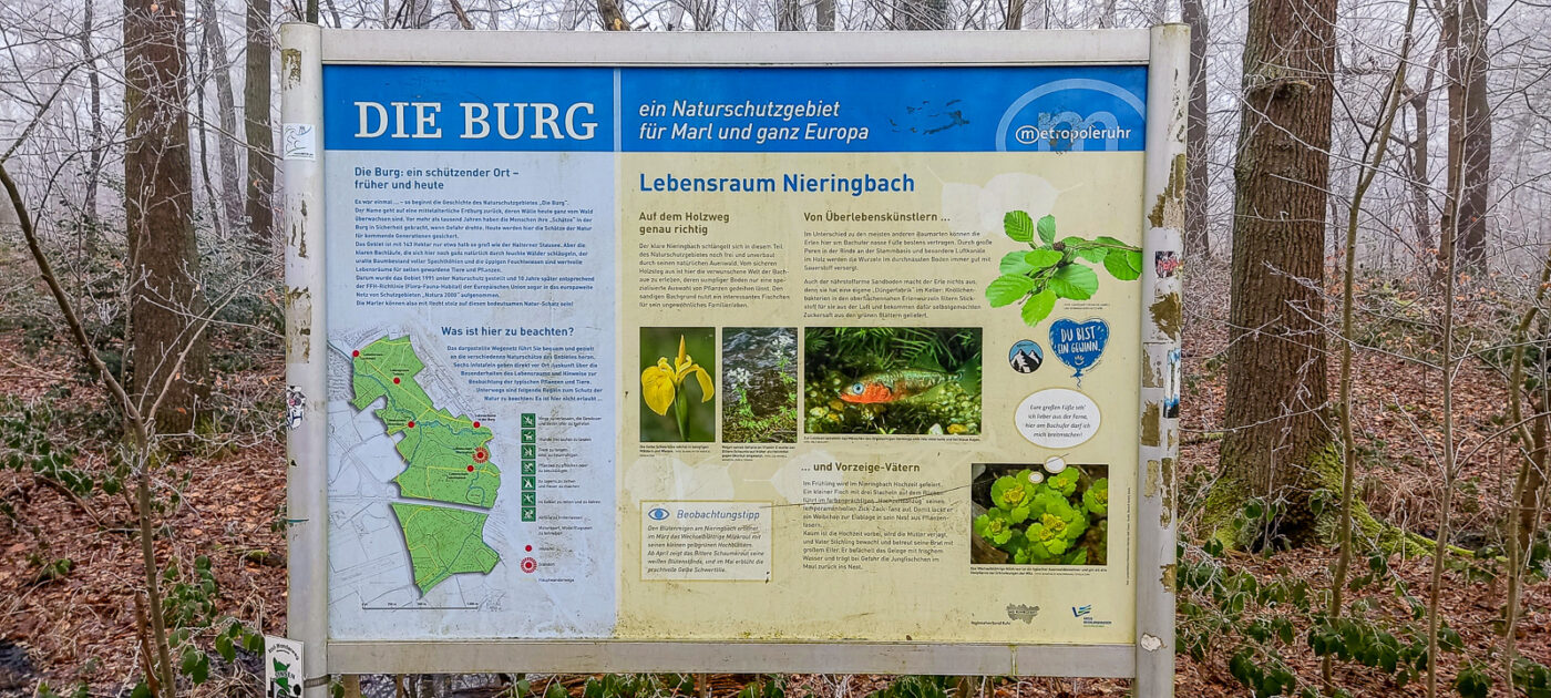 2025-01-19 - NSG Die Burg Marl