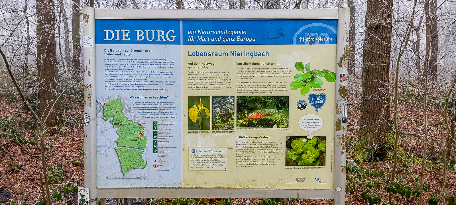2025-01-19 – NSG Die Burg
