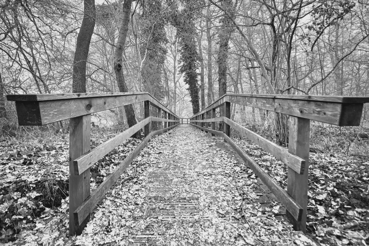 2025-01-19 - NSG Die Burg Marl