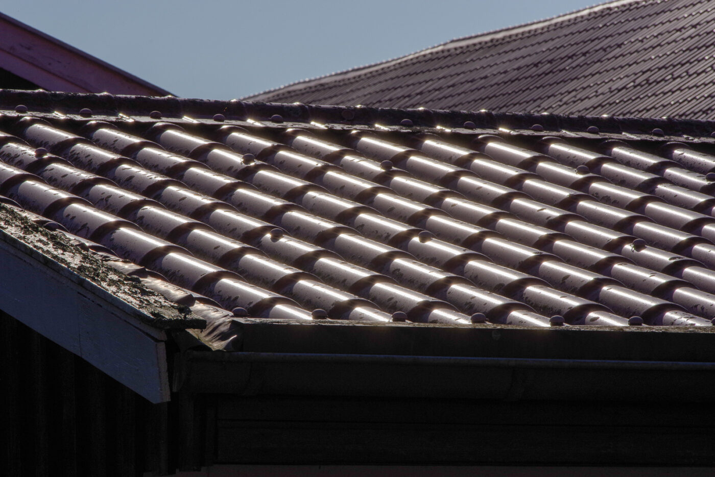 2025-03-05 - Haltern Rundreise