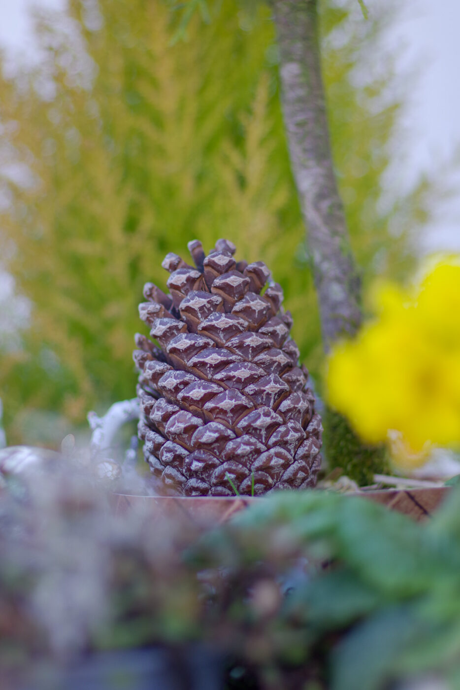 2025-03-05 - Haltern Rundreise