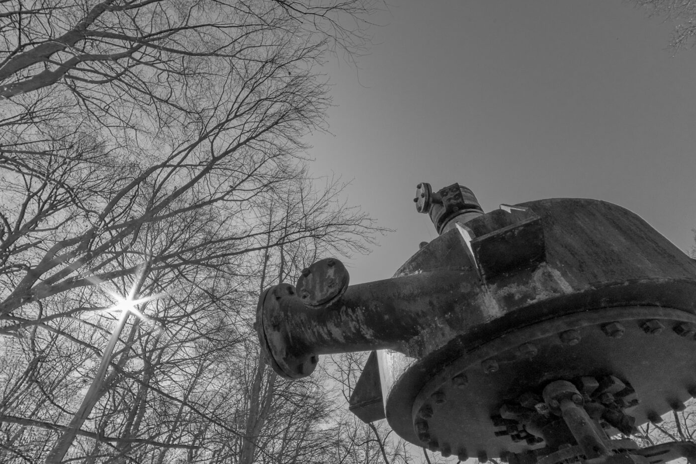 2025-03-19 - Marl - Volkspark und Alt Marl