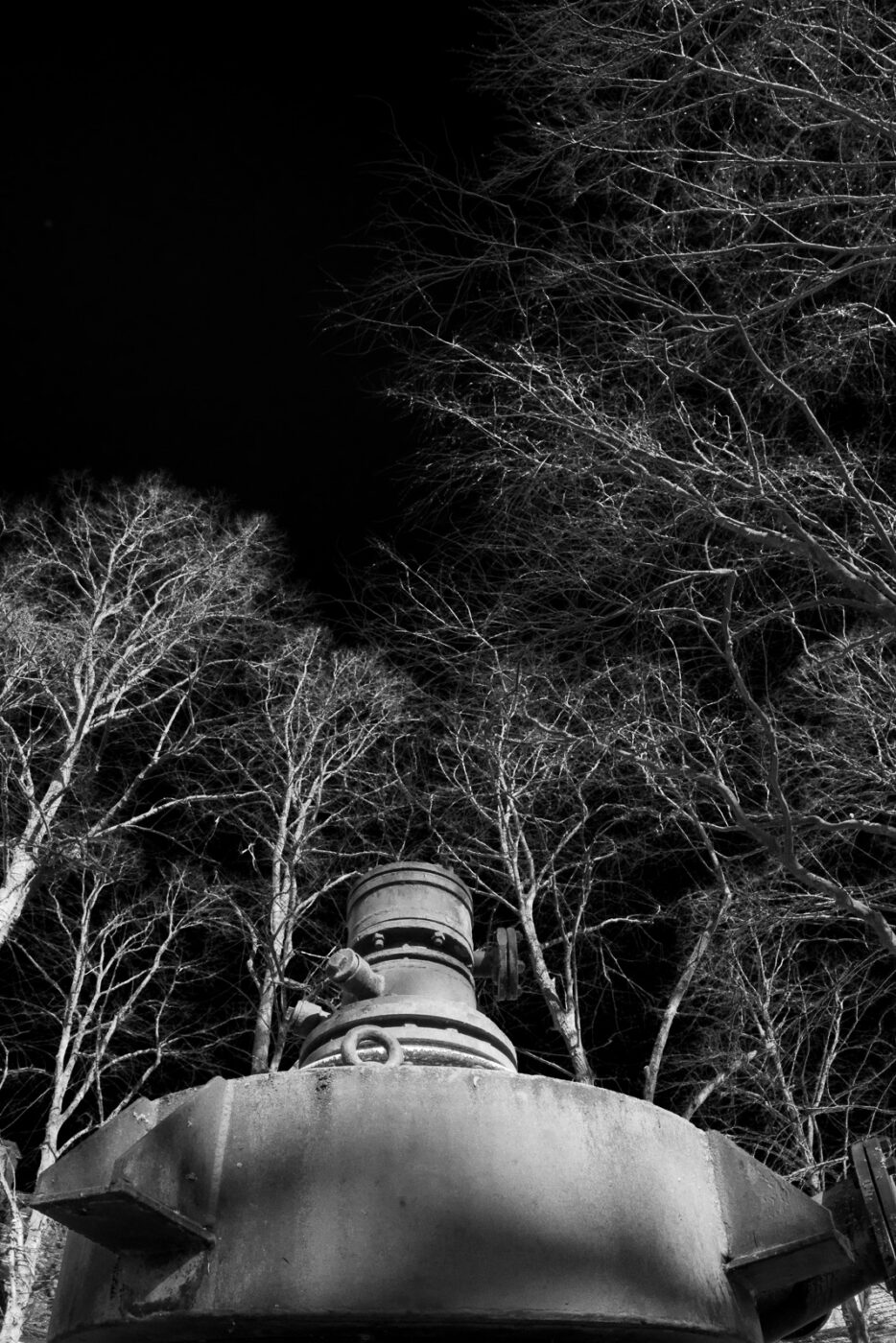 2025-03-19 - Marl - Volkspark und Alt Marl