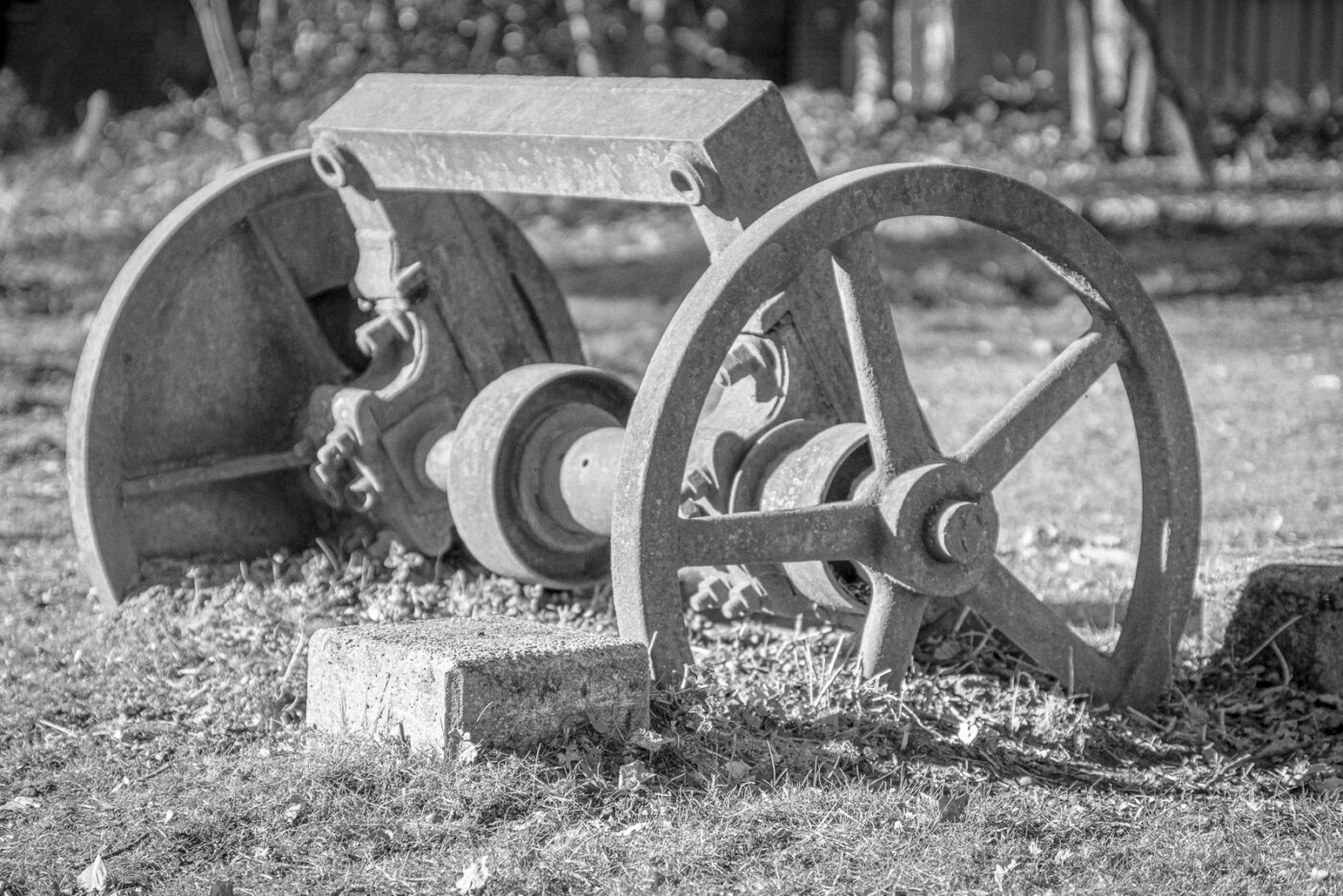 2025-03-19 - Marl - Volkspark und Alt Marl