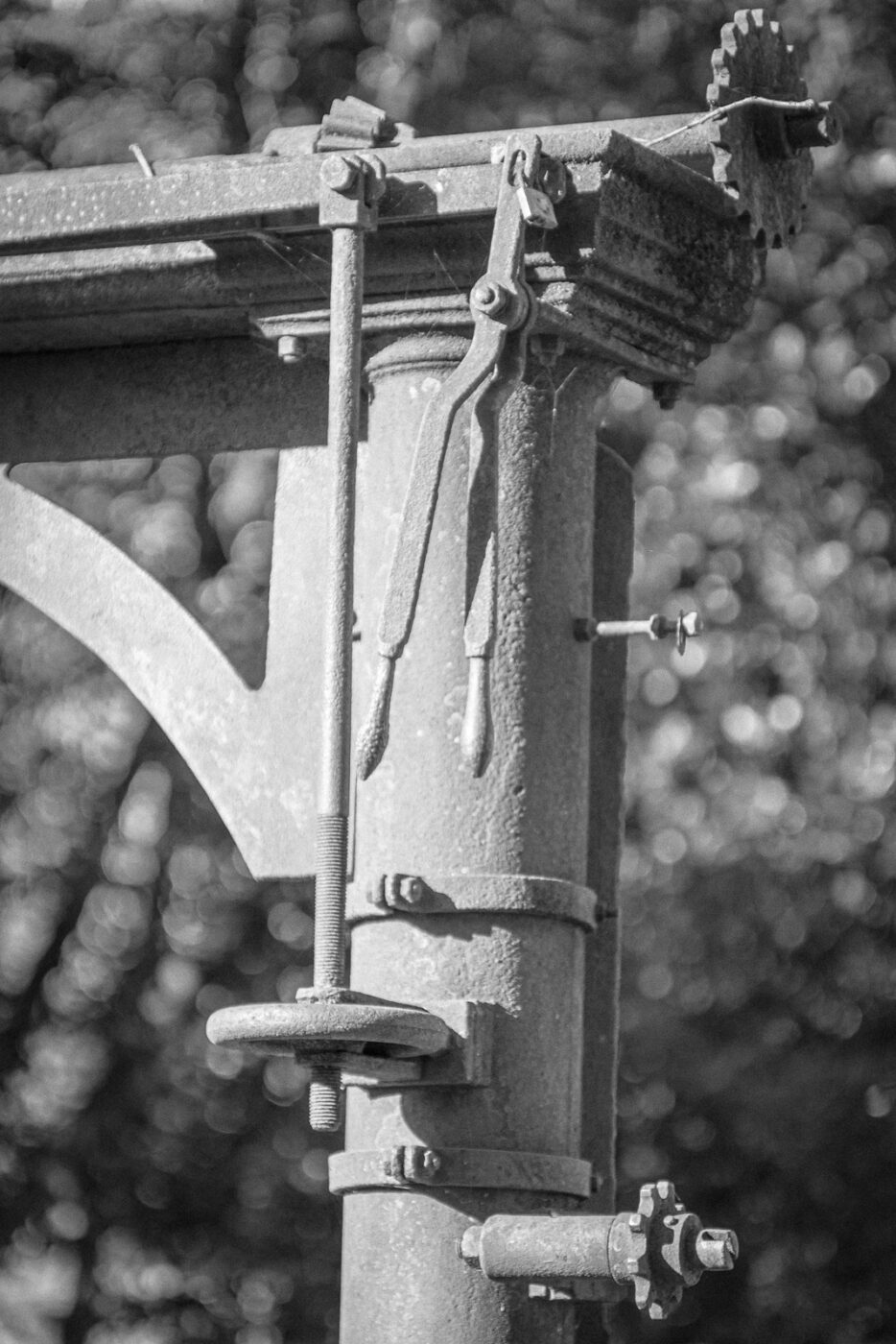 2025-03-19 - Marl - Volkspark und Alt Marl