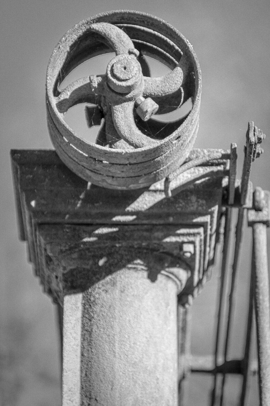 2025-03-19 - Marl - Volkspark und Alt Marl