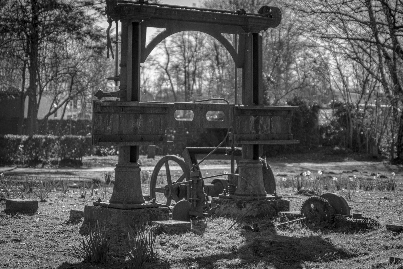 2025-03-19 - Marl - Volkspark und Alt Marl