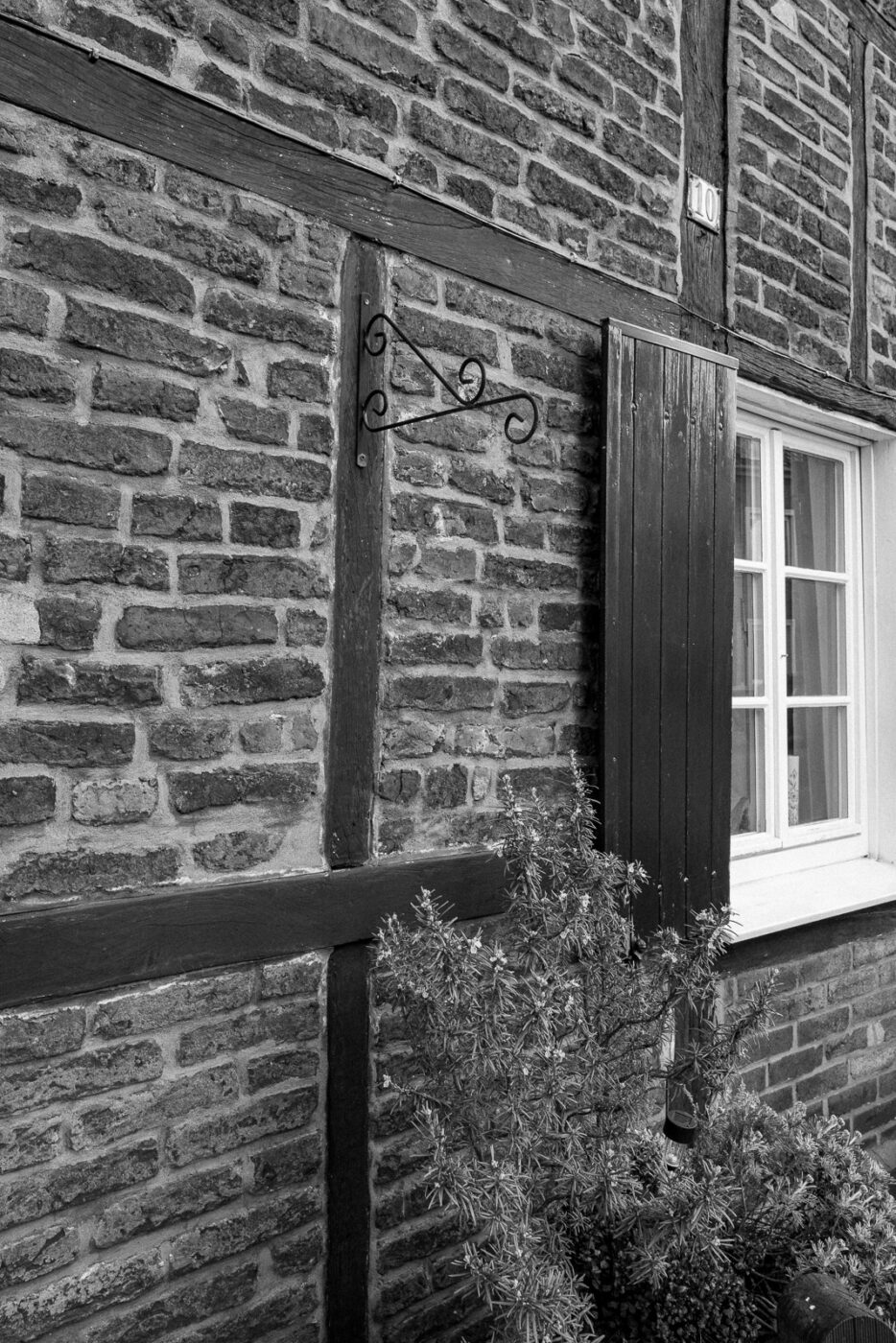 2025-03-19 - Marl - Volkspark und Alt Marl