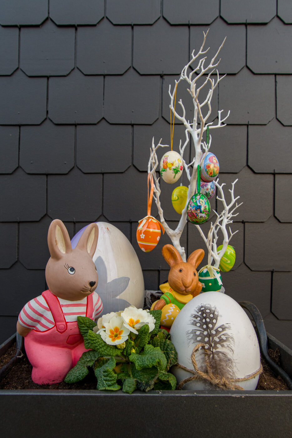 2025-03-19 - Marl - Volkspark und Alt Marl