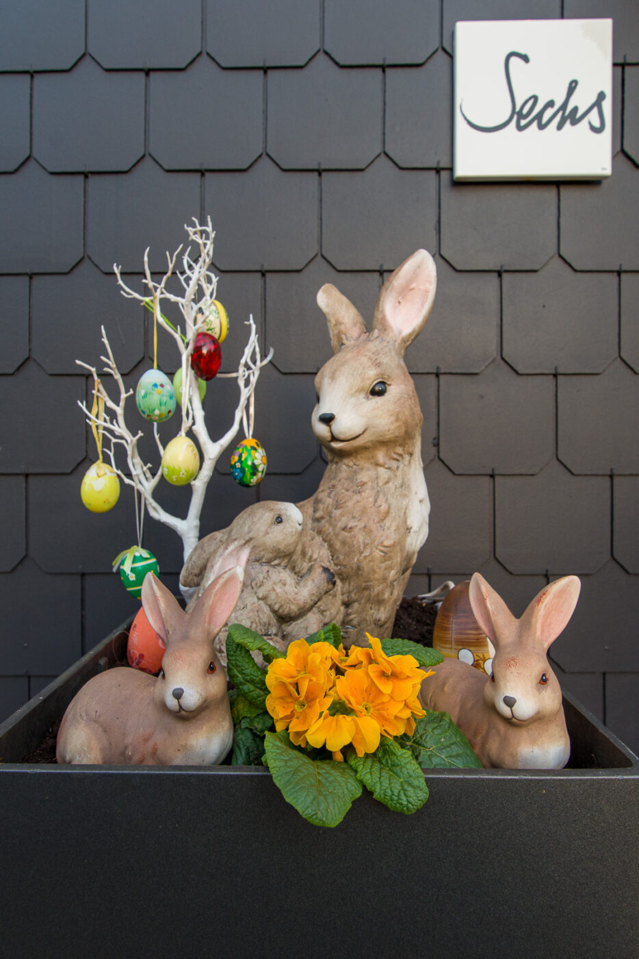 2025-03-19 - Marl - Volkspark und Alt Marl