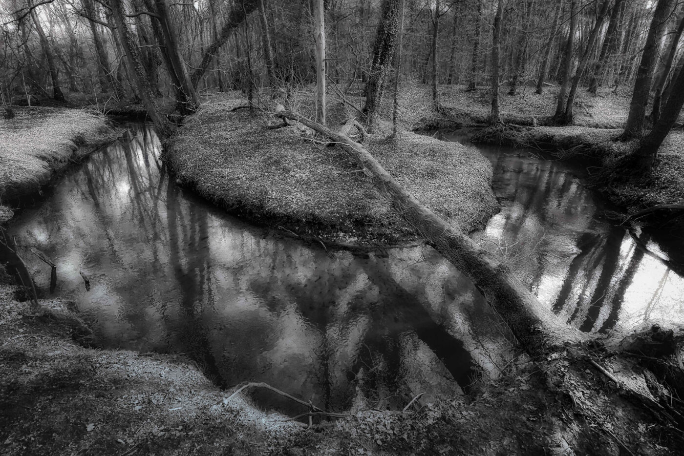 2025-03-28 - NSG Die Burg Marl