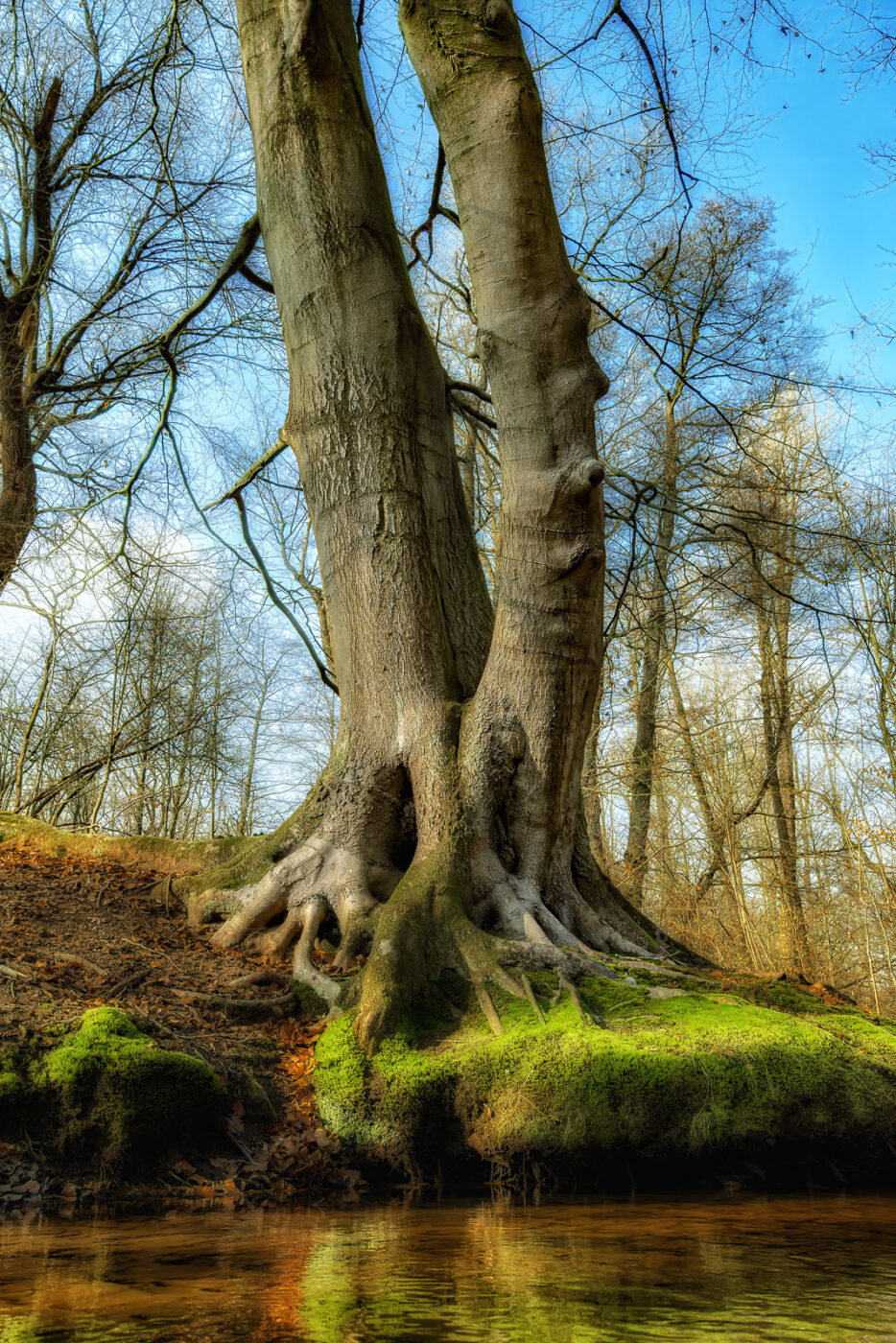 2025-03-28 - NSG Die Burg Marl