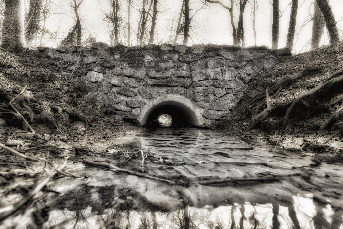 2025-03-28 - NSG Die Burg Marl