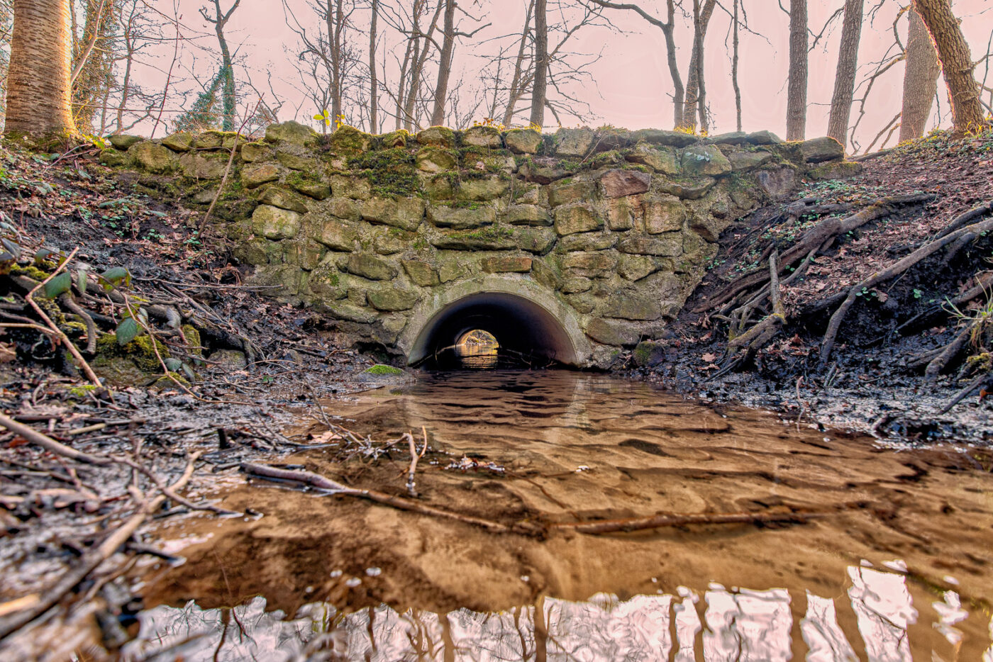 2025-03-28 - NSG Die Burg Marl