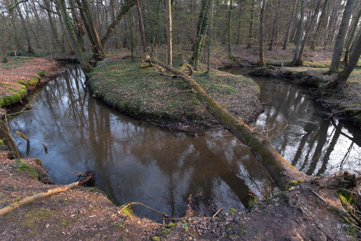 2025-03-28 - NSG Die Burg Marl