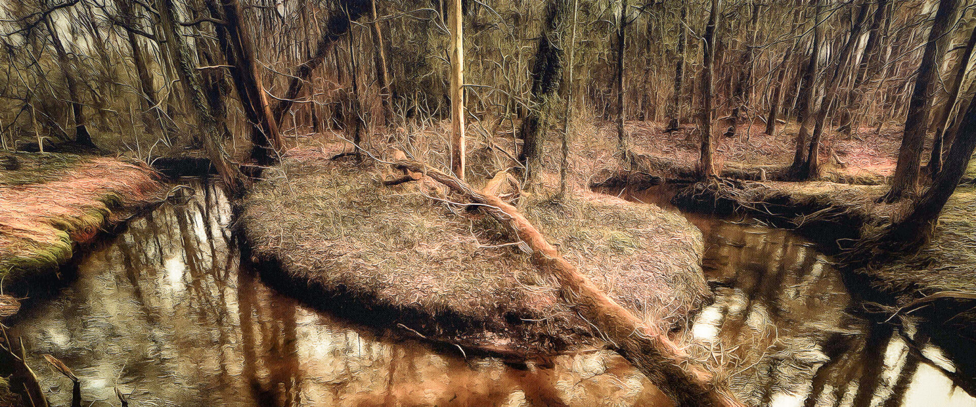 2025-03-28 – NSG Die Burg