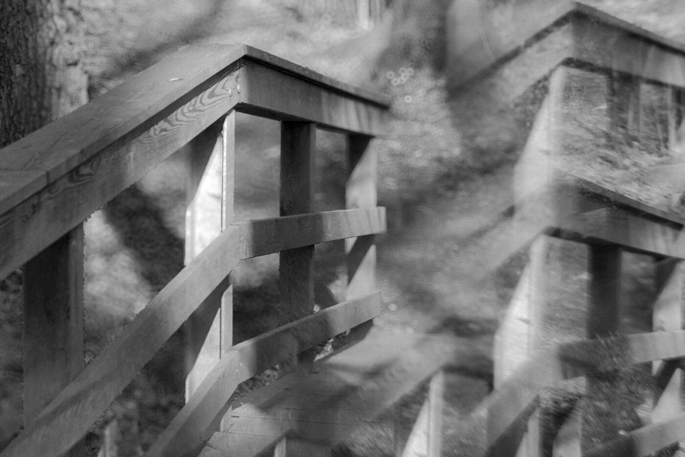 2025-03-28 - NSG Die Burg Marl