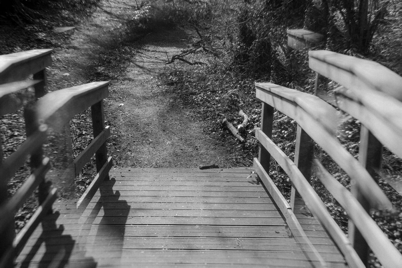 2025-03-28 - NSG Die Burg Marl