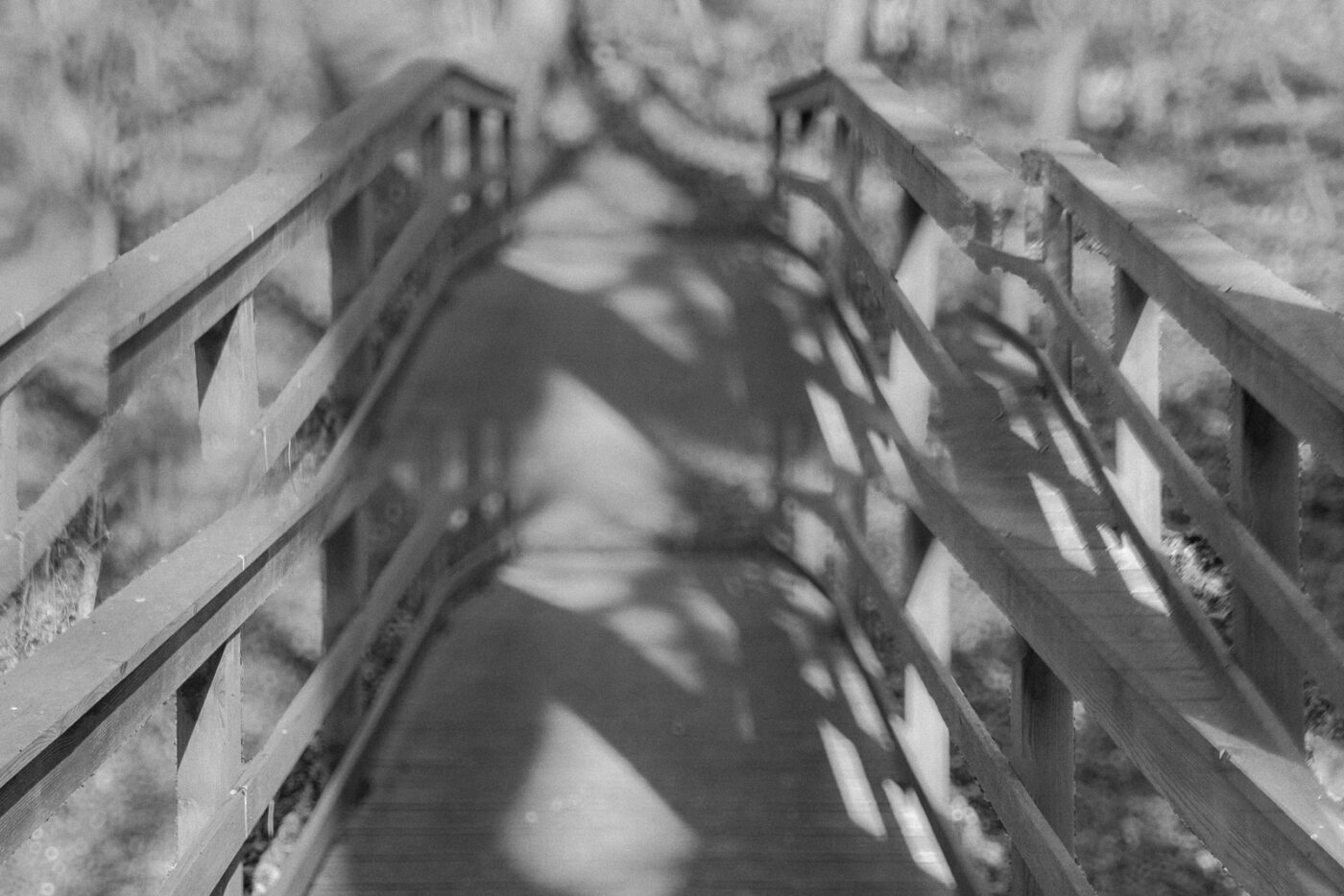 2025-03-28 - NSG Die Burg Marl