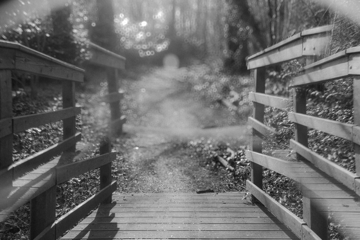 2025-03-28 - NSG Die Burg Marl