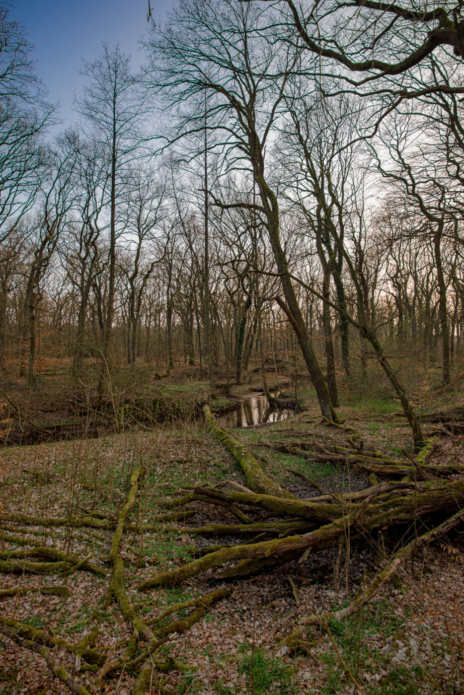 2025-03-28 - NSG Die Burg Marl