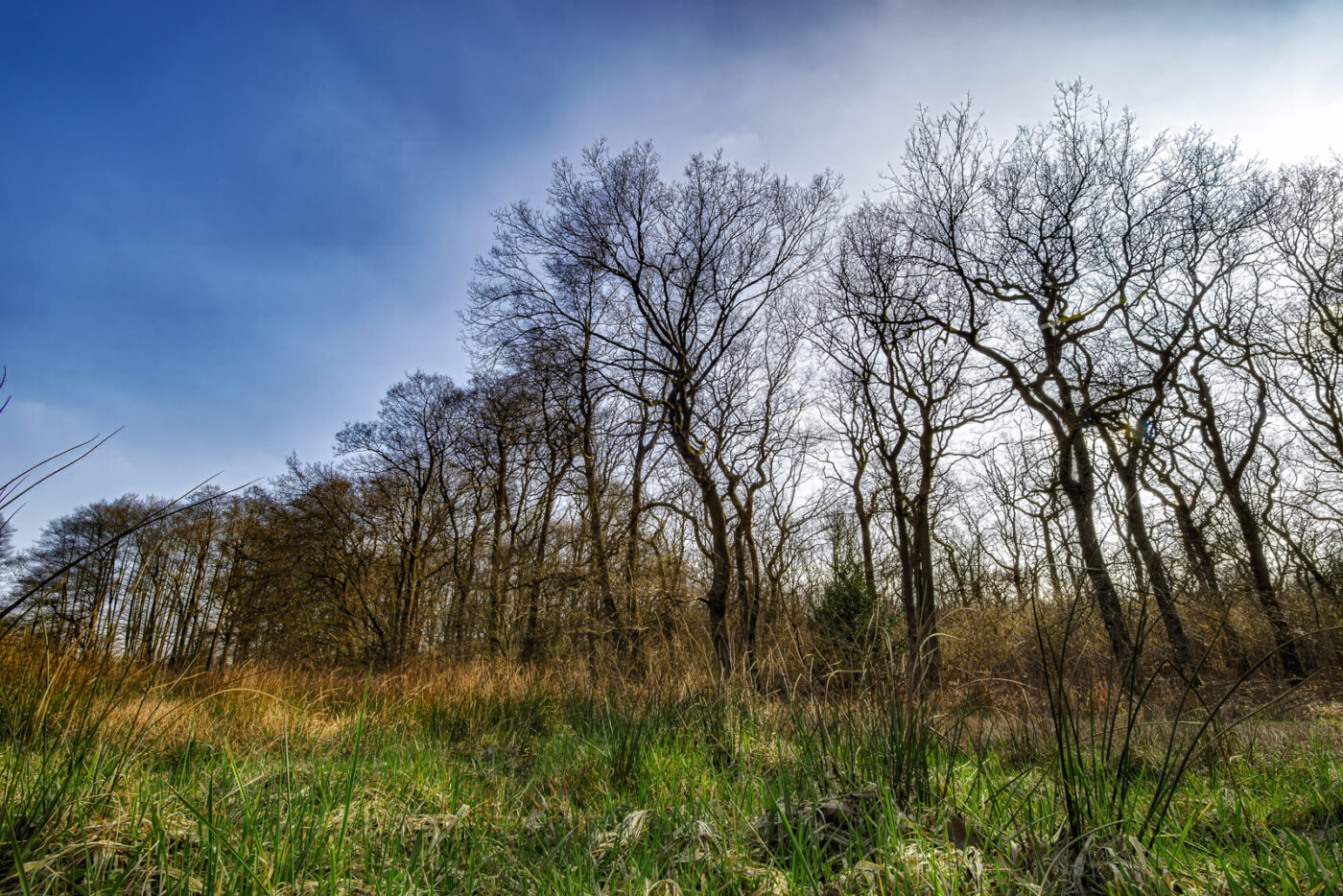 2025-03-28 - NSG Die Burg Marl