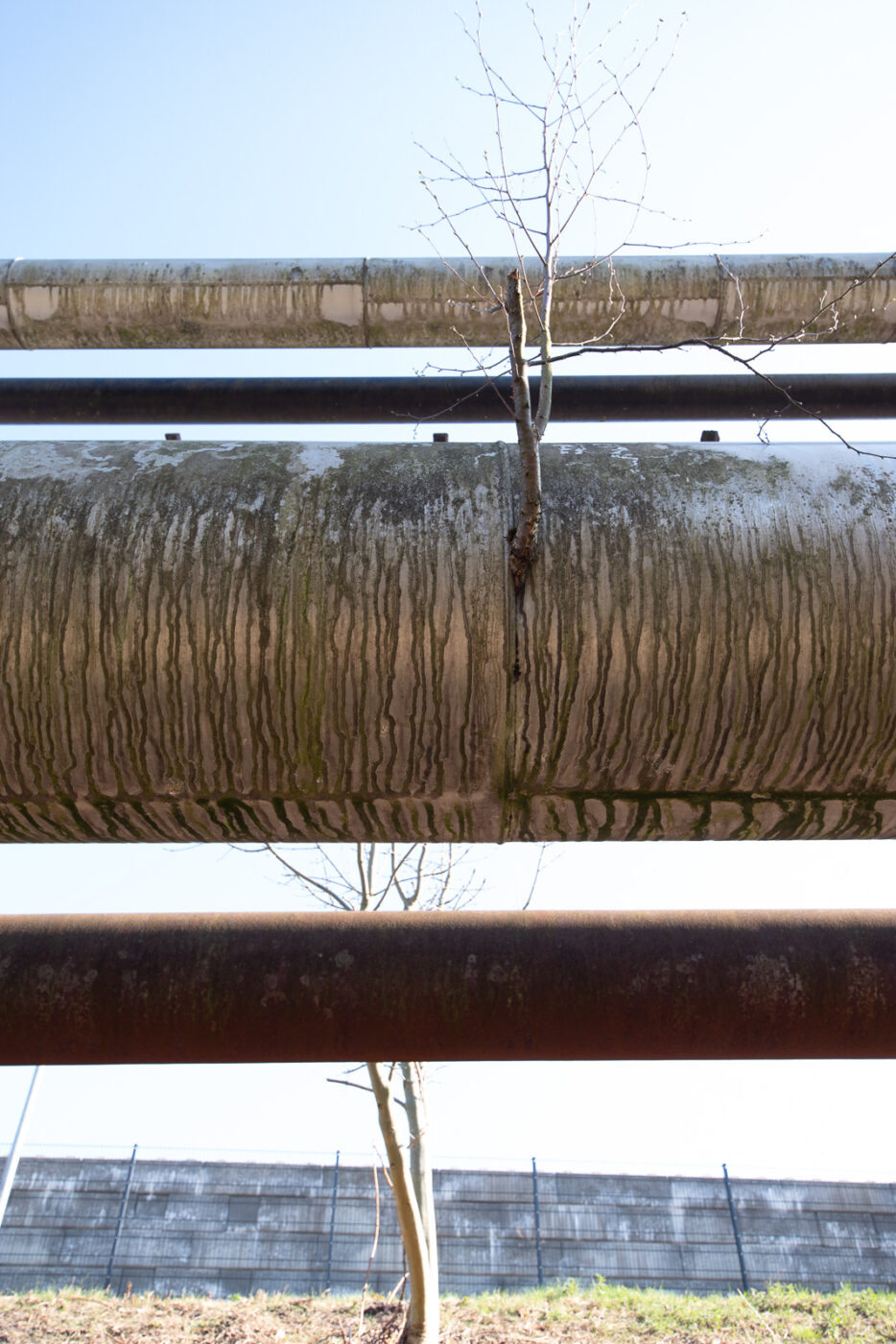 2025-04-04 - auf dem ehemaligen GAVEG-Gelände