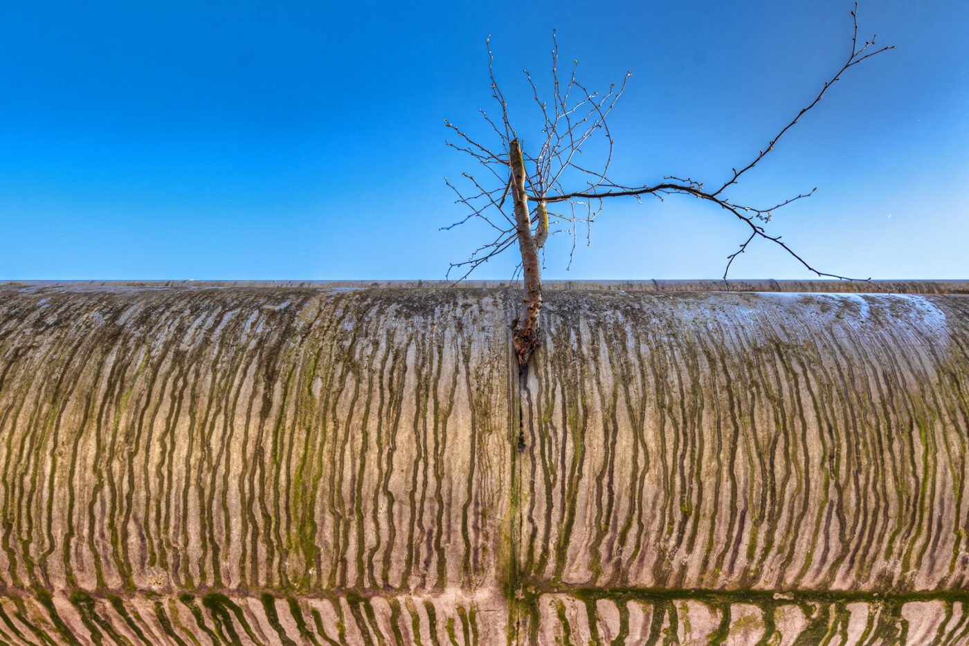 2025-04-04 - auf dem ehemaligen GAVEG-Gelände