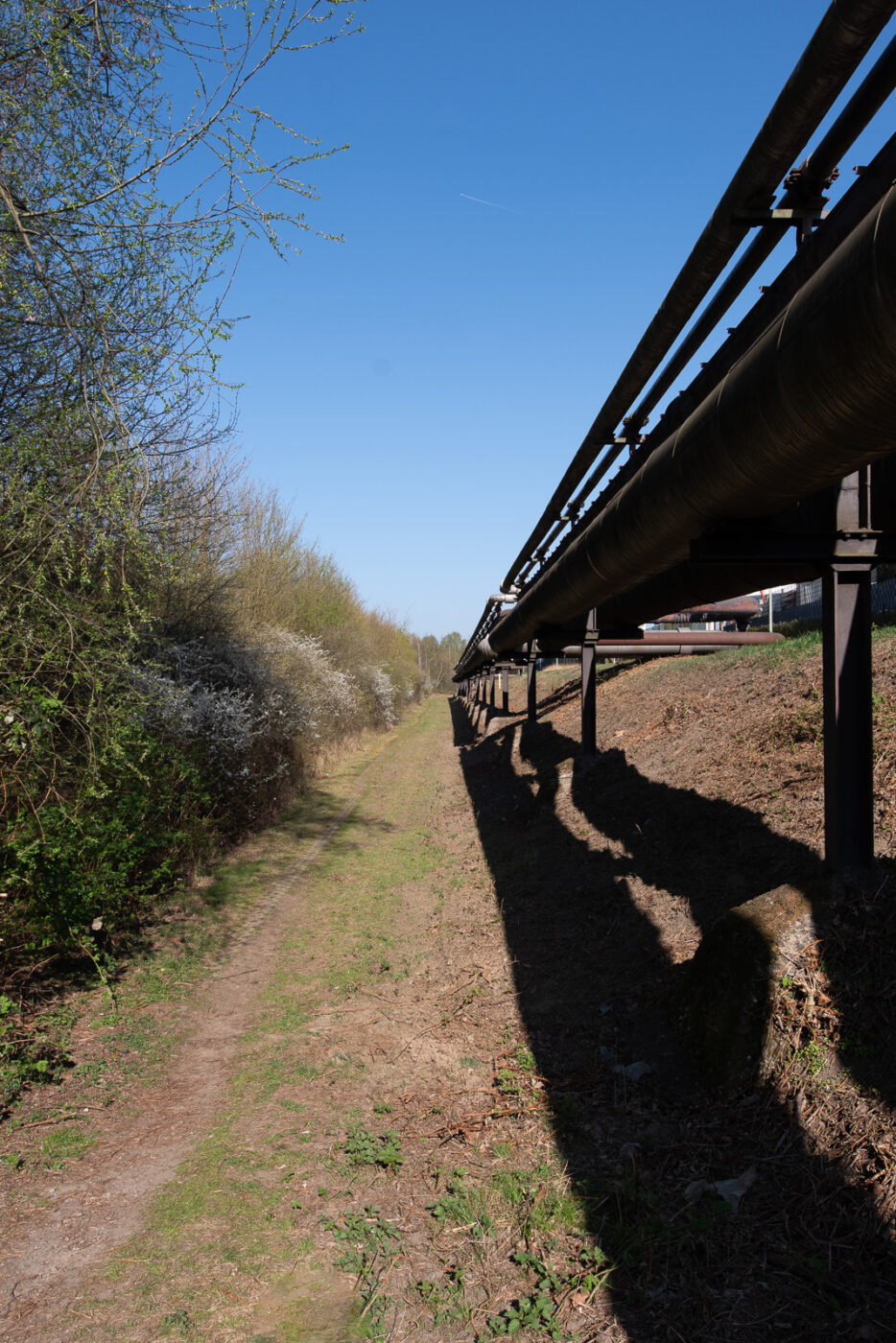 2025-04-04 - auf dem ehemaligen GAVEG-Gelände