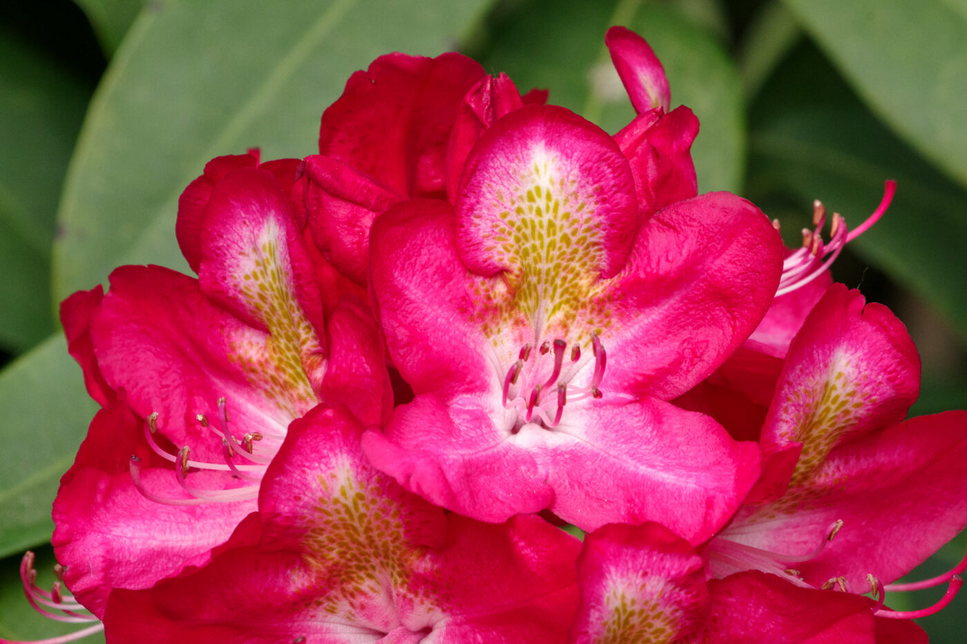 2025-05-21 - Wasserschloß Lembeck