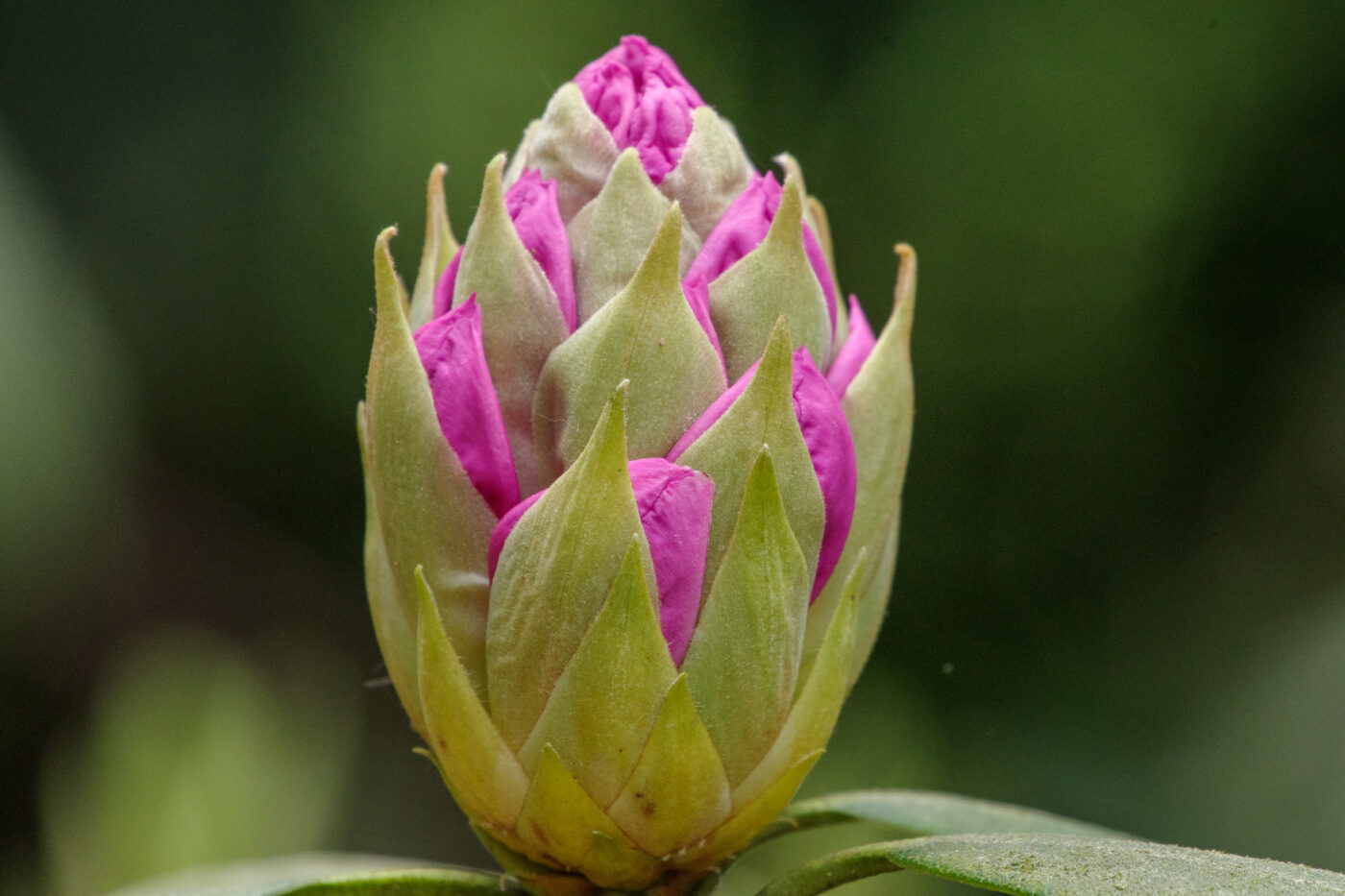 2025-05-21 - Wasserschloß Lembeck