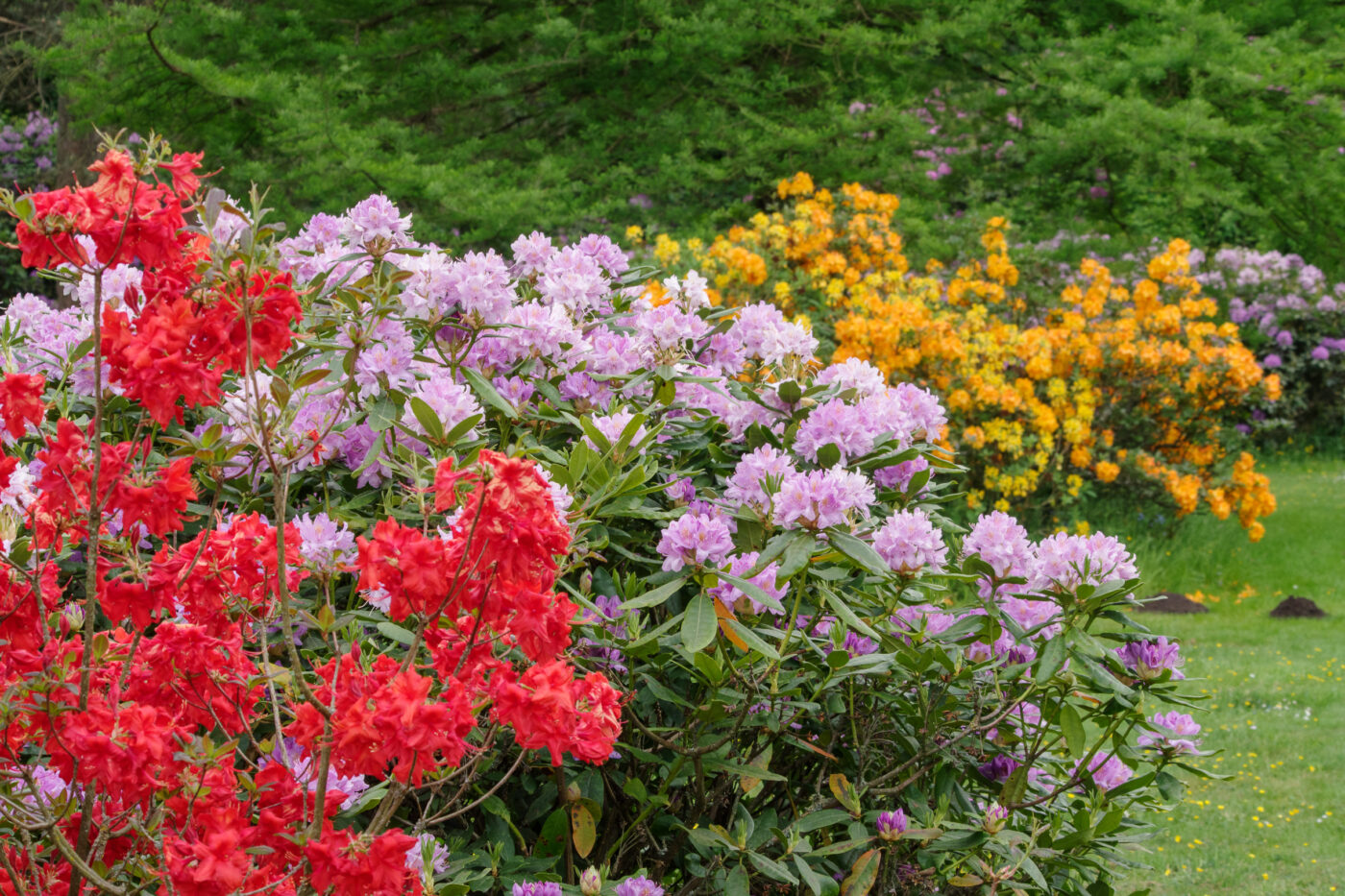 2025-05-21 - Wasserschloß Lembeck