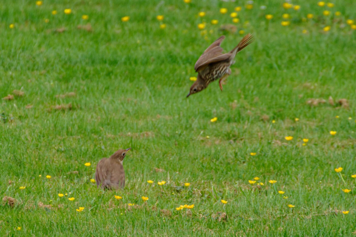 2025-05-21 - Wasserschloß Lembeck