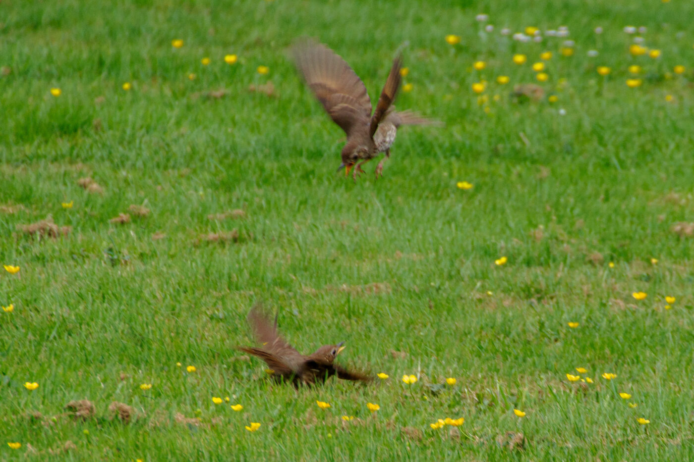 2025-05-21 - Wasserschloß Lembeck