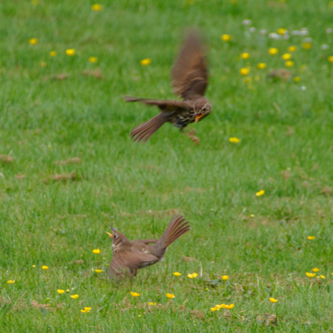 2025-05-21 - Wasserschloß Lembeck
