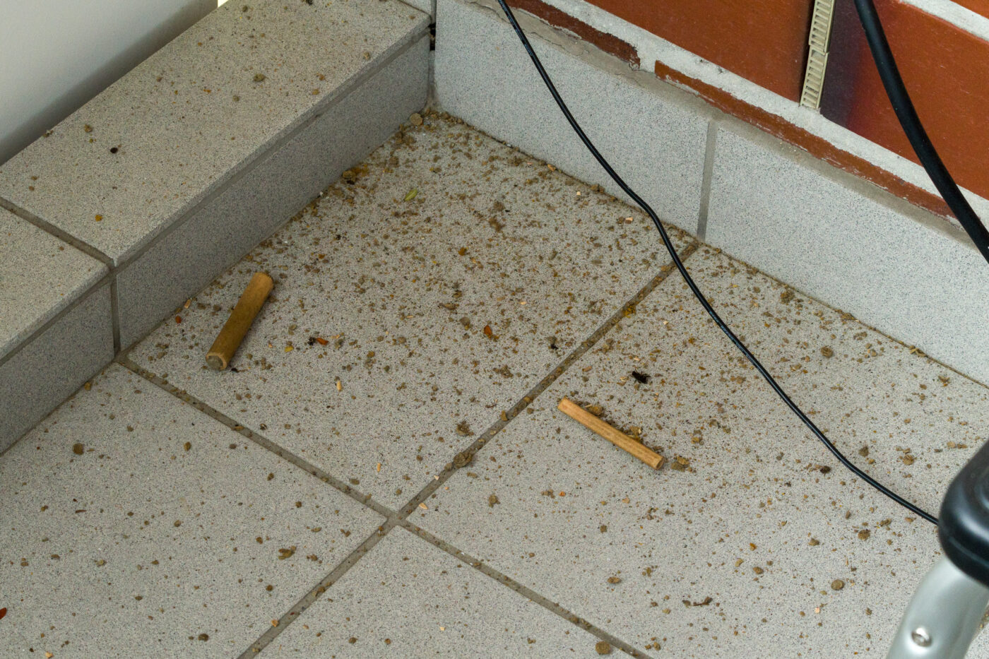 2025-02-23 - RE-Sidenzia auf'm BallKong
