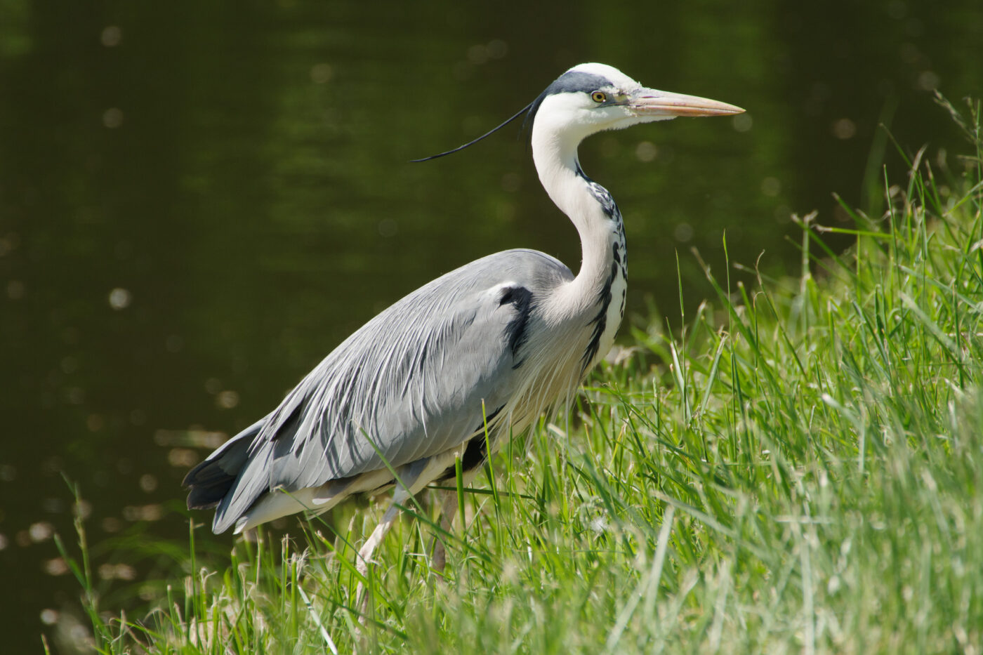 2025-05-11 - Coesfeld - Schloß Nordkirchen