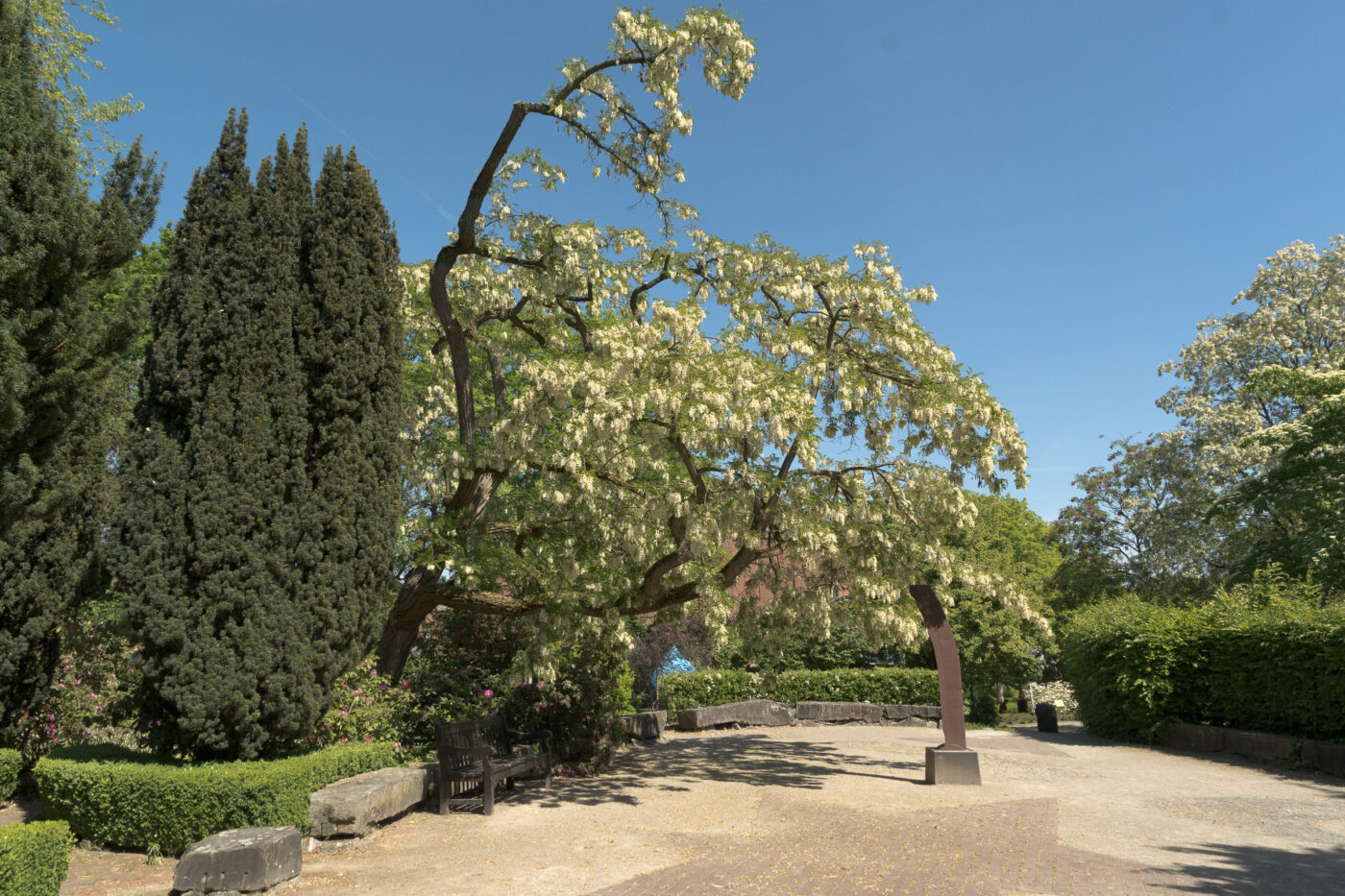 2025-05-14 - Hamm - Maximilianpark