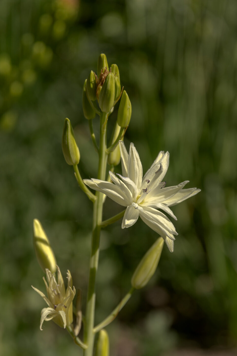 2025-05-14 - Hamm - Maximilianpark